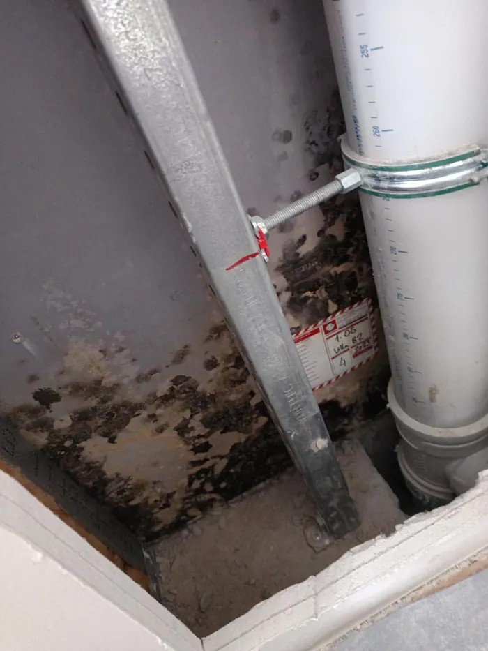 Close-up of black mould contamination on shaft wall